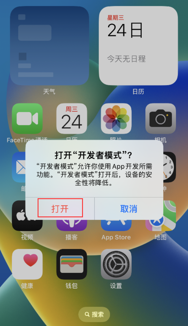 朝阳苹果手机维修分享如何打开开发者模式 