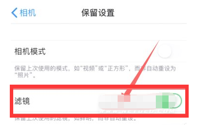 朝阳苹果13维修分享iPhone13拍照有绿点是怎么回事 