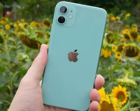 朝阳苹果维修点分享iPhone 11锁屏密码认知与使用科普 
