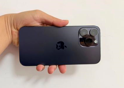 朝阳苹果维修点分享iPhone 14 Pro Max黑屏少见故障盘点 